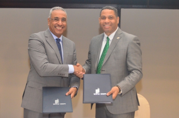 Director de la ONDA demanda alianza público privada para proteger y desarrollar el derecho de autor en el país